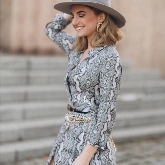 Zara Snakeskin Print Elegant Gray Dress NWT Size Xsmall - Picture 2 of 6